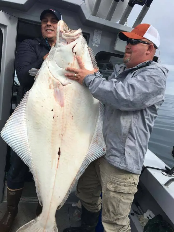 Bayes Boat Rental Homer, Alaska Rental Boats